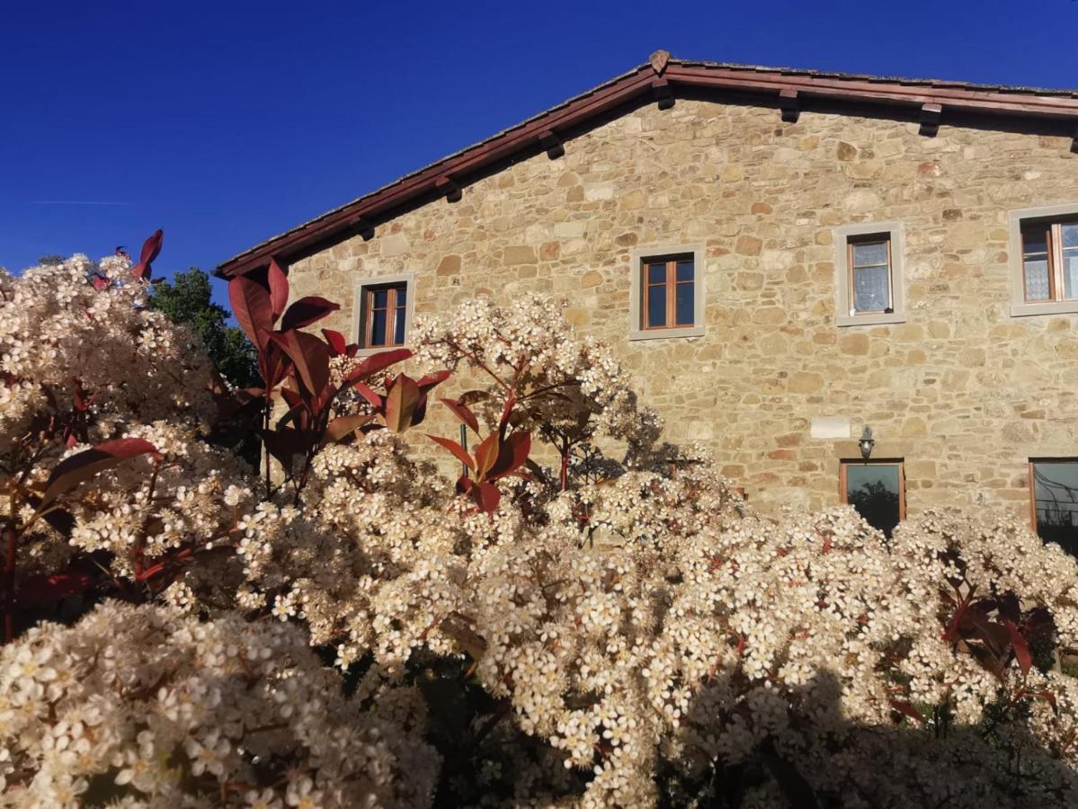 Il Cerro Guest House Pelago Eksteriør bilde