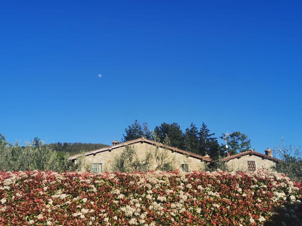 Il Cerro Guest House Pelago Eksteriør bilde